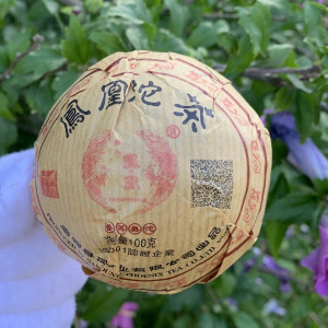 Шу пуэр То Ча Феникс 100 г 2019 года